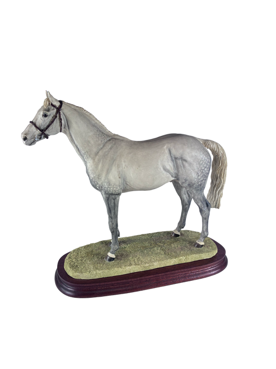 Thoroughbred Stallion Grey Standing Style Two Border Fine Arts Model by Anne Wall