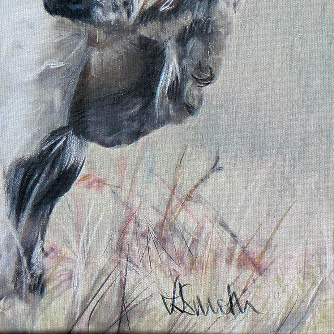 White Park Framed Print by Victoria Smith