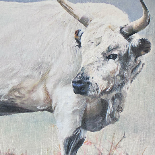 White Park Framed Print by Victoria Smith