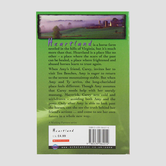 Heartland New Beginnings By Lauren Brooke Book Paperback