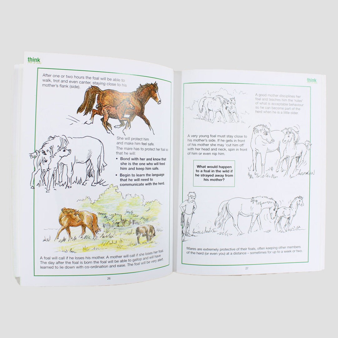 Foundation Book Think Like A Pony