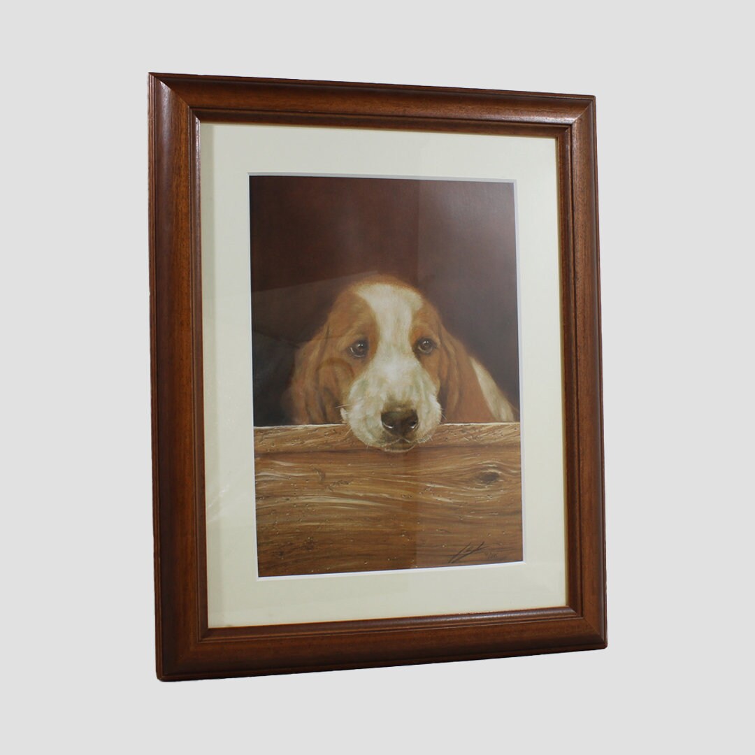 Bassets Framed Print