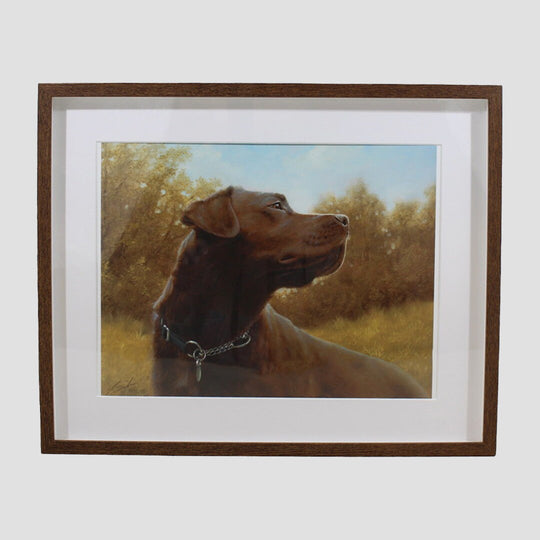 Choc Labrador Framed Print