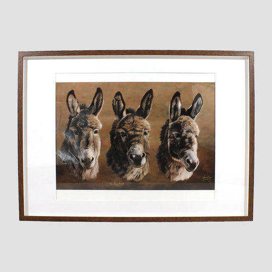 Three Amigos Donkey Framed Print