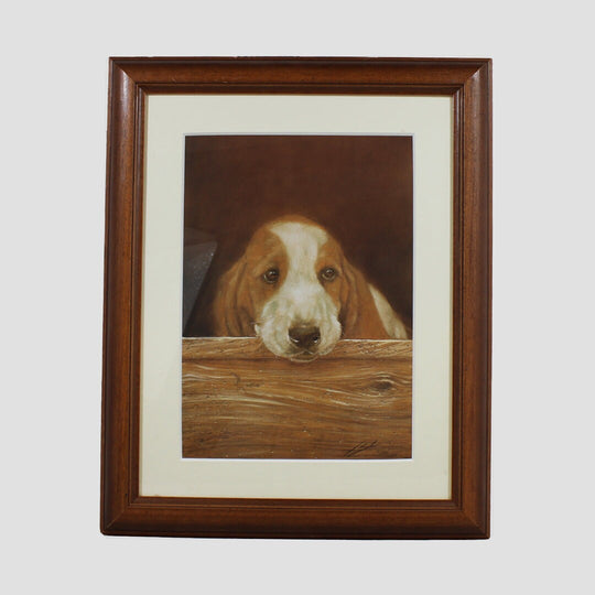 Bassets Framed Print