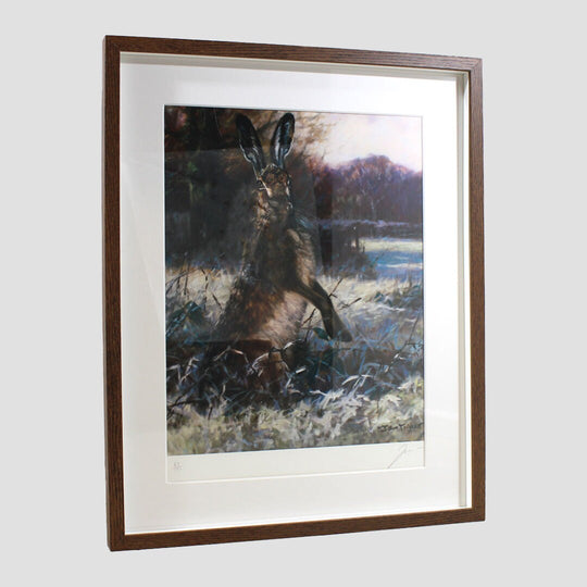 Hare In Snow Framed Print