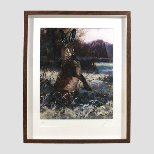 Hare In Snow Framed Print