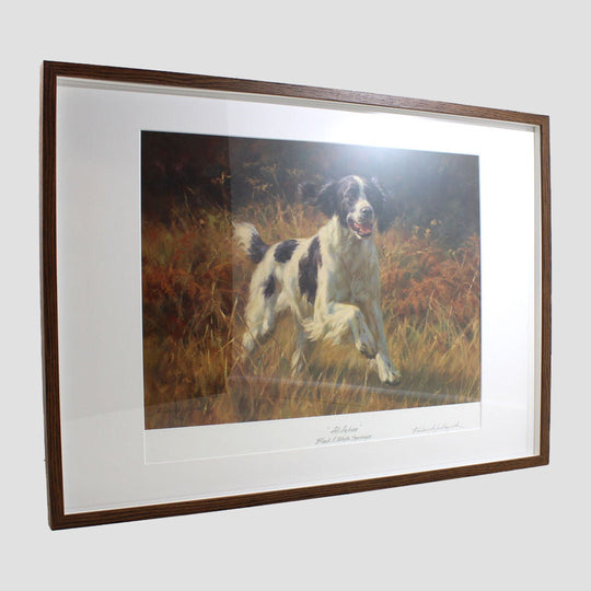 All Action Springer Spaniel Framed Print