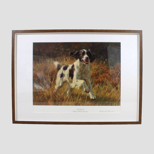 All Action Springer Spaniel Framed Print