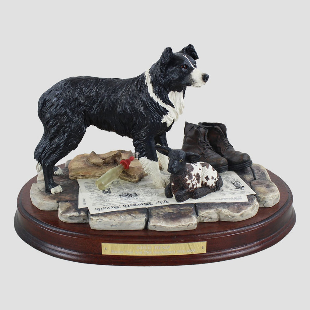 Auld Hemp Border Fine Arts Border Collie