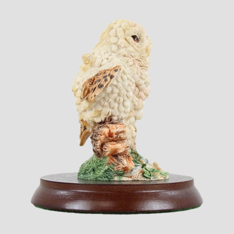 Baby Tawny Owlet Border Fine Arts Birds