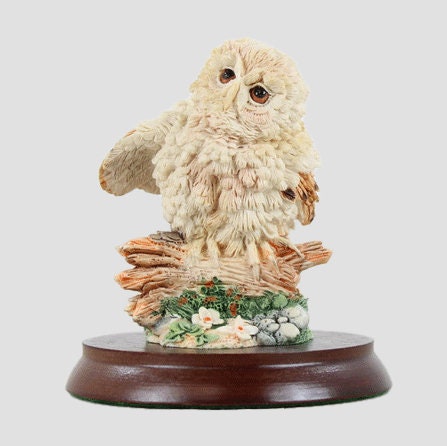 Baby Tawny Owlet Border Fine Arts Birds