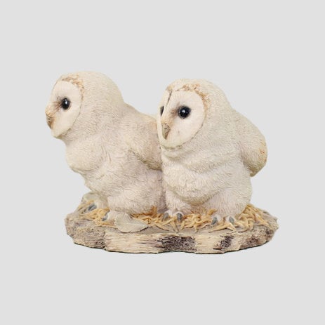 Barn Owlets (Three) Border Fine Arts Birds