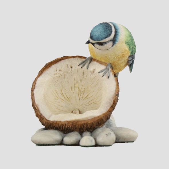 Blue Tit On Coconut Border Fine Arts Birds