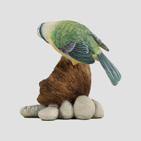 Blue Tit On Coconut Border Fine Arts Birds