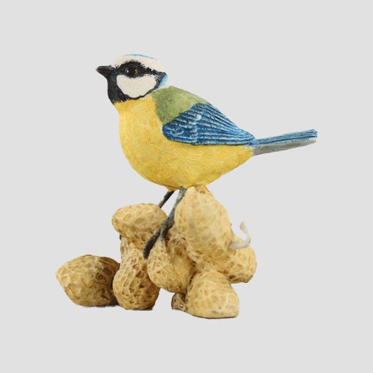 Blue Tit On Peanuts Border Fine Arts Birds