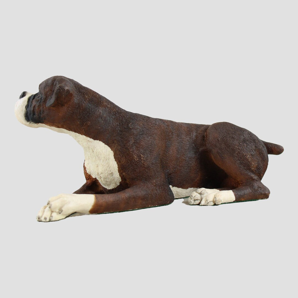 Boxer Dog Lying Border Fine Arts Dogs