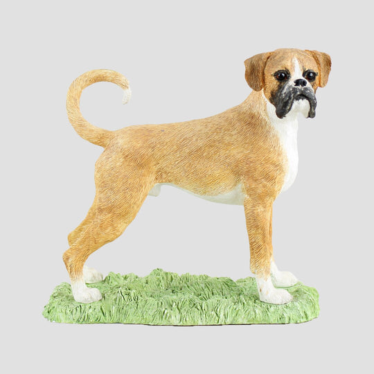 Boxer Fawn and White Border Fine Arts Dogs