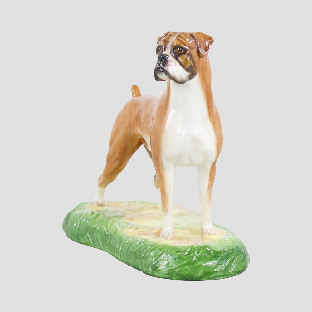 Boxer Royale Stratford Dog