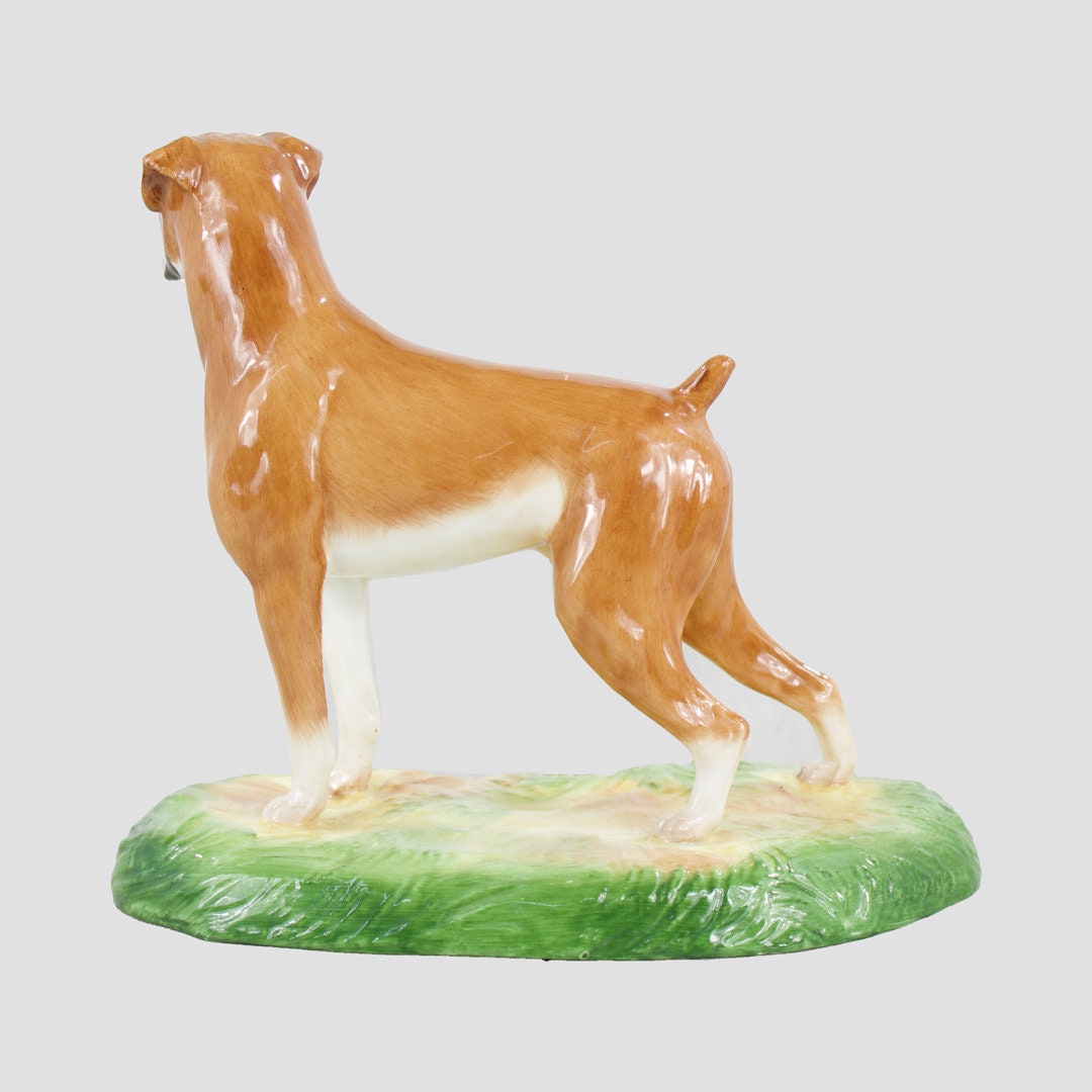 Boxer Royale Stratford Dog