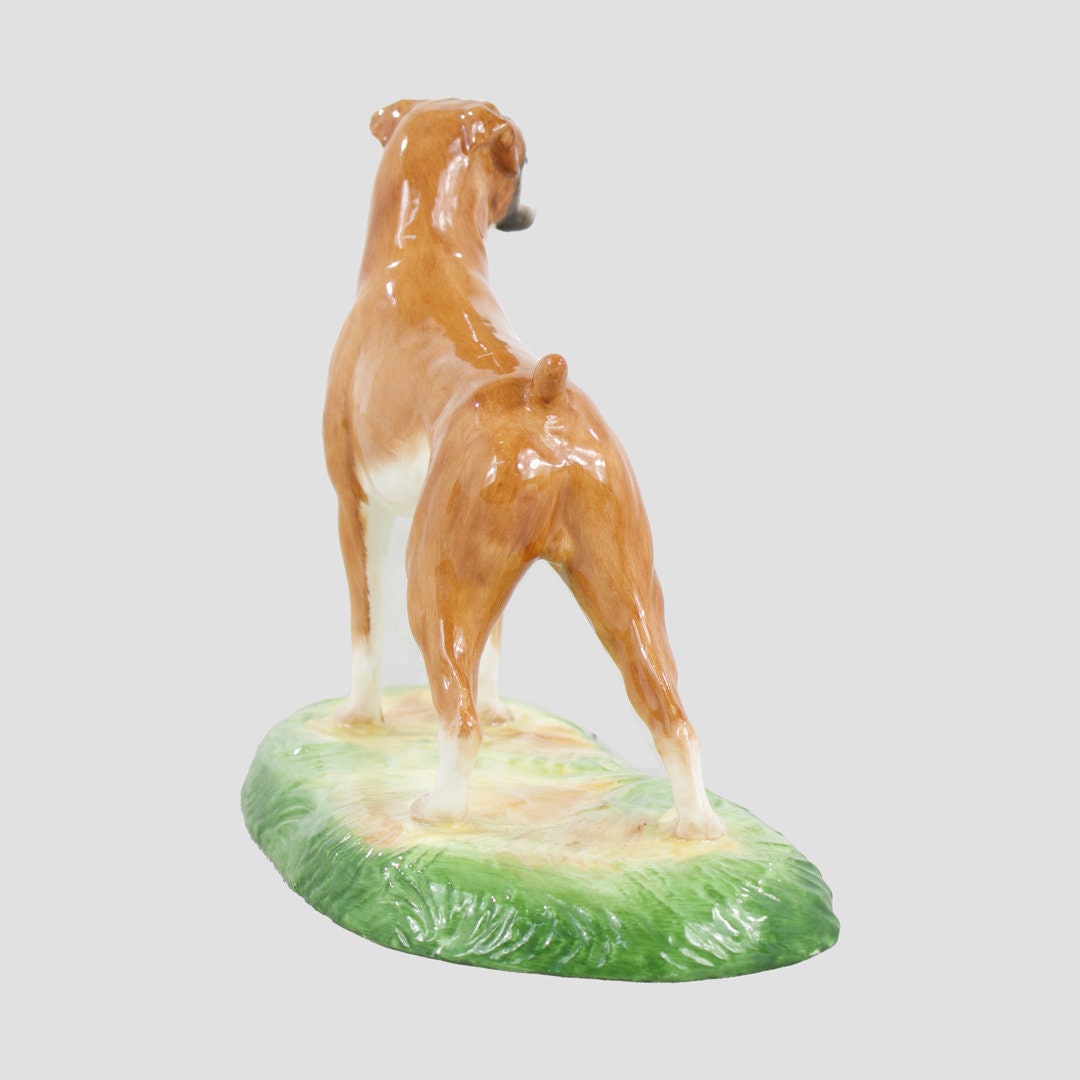Boxer Royale Stratford Dog