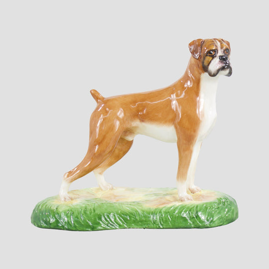 Boxer Royale Stratford Dog