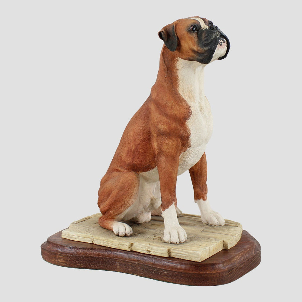 Boxer Sitting Tan Border Fine Arts Dog