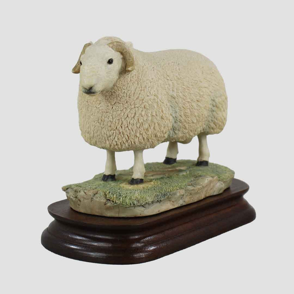 Cheviot Ram Border Fine Arts Sheep