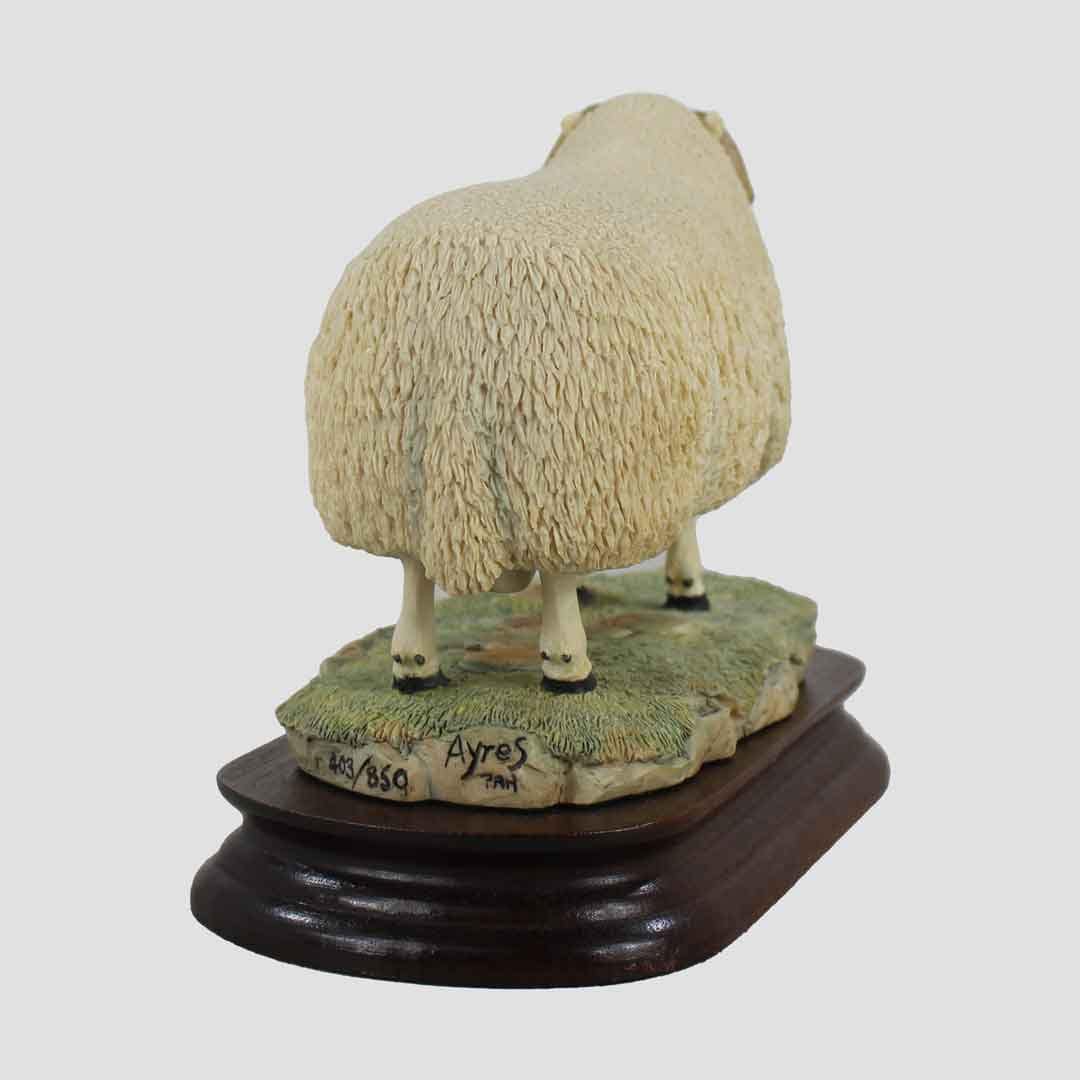 Cheviot Ram Border Fine Arts Sheep