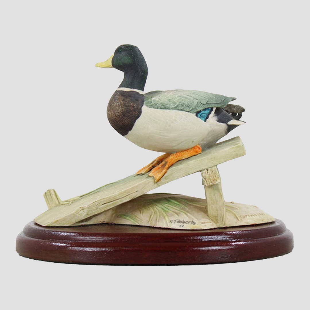 Mallard Drake On Plank Border Fine Arts Birds