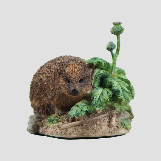Prickly Encounters Hedgehog Border Fine Arts Wildlife