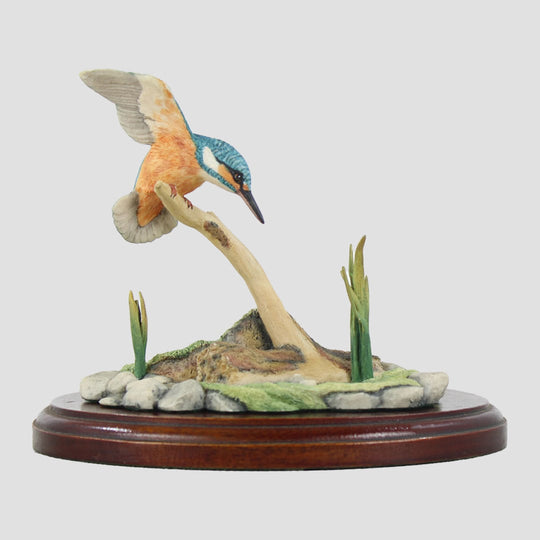 Kingfisher Rb10 Border Fine Arts Birds