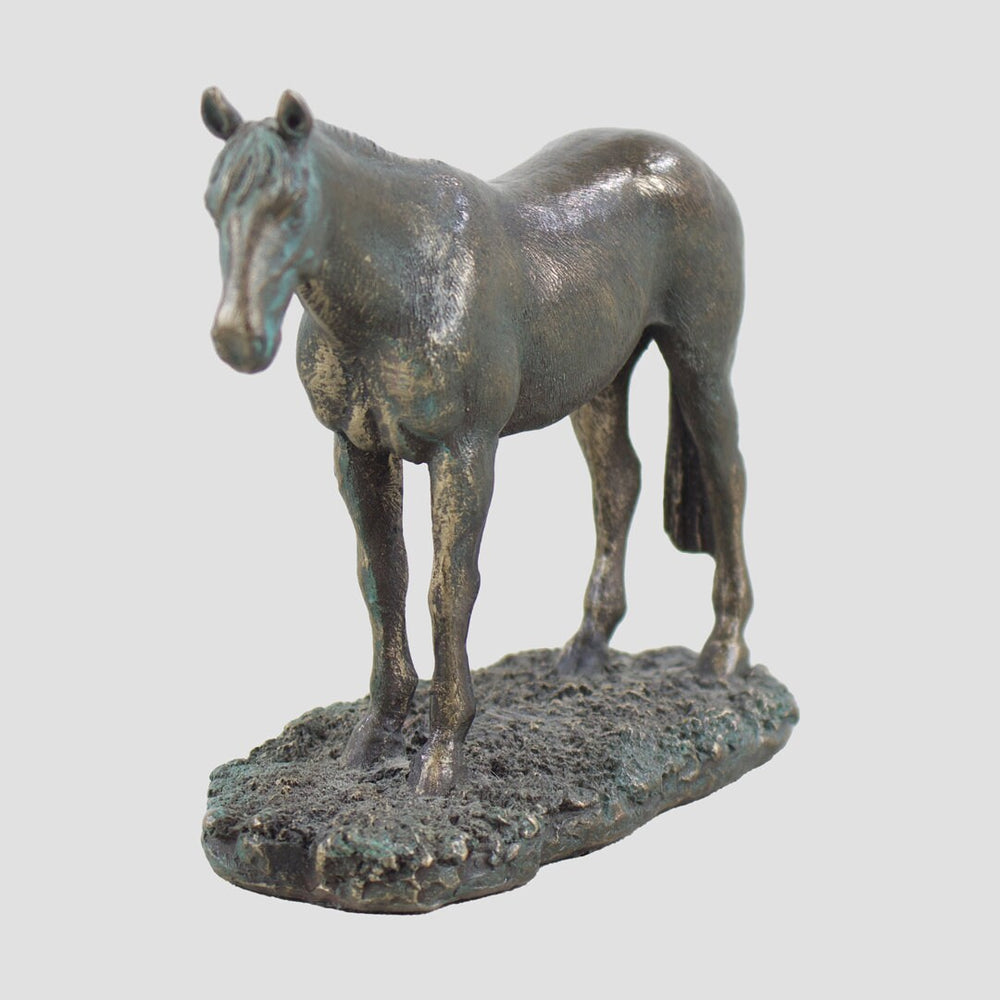 Bronzed Thoroughbred Horse