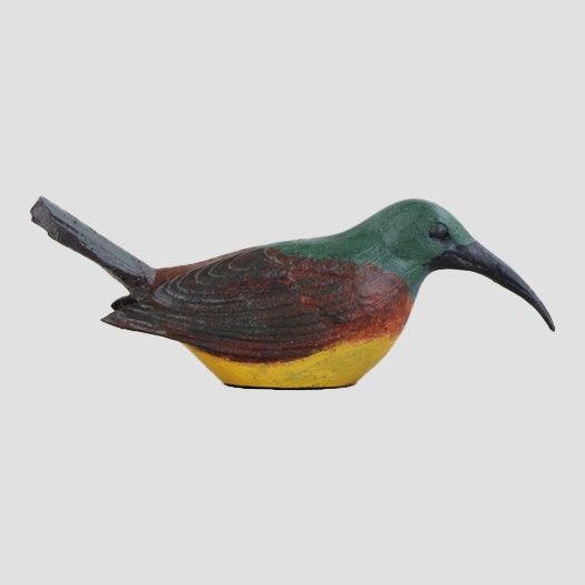 Orange Breasted Sunbird Model