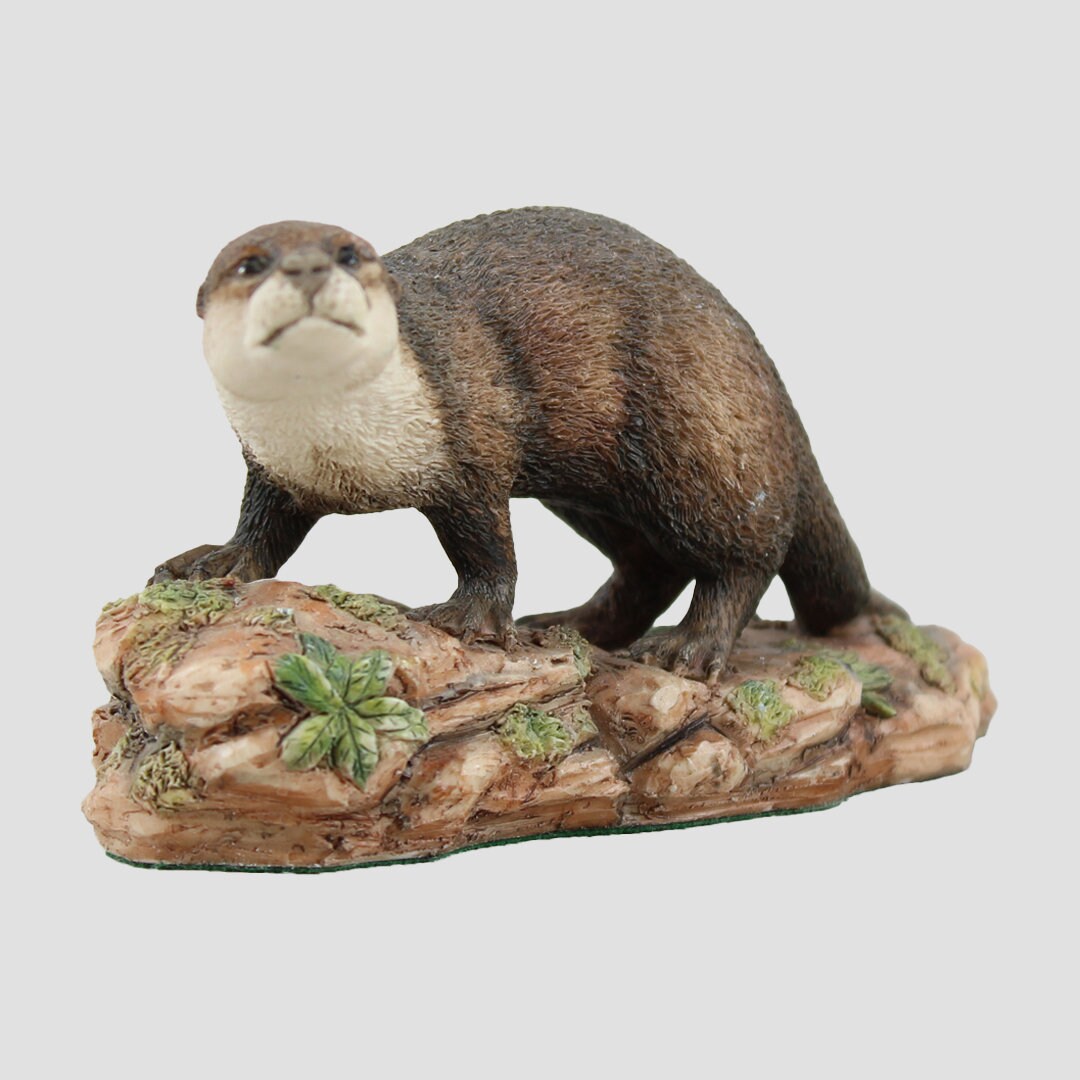 Otter Style Six Border Fine Arts Wildlife