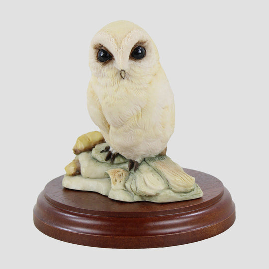 Owlet (White) On Rocks Bird Model