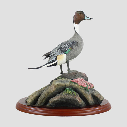 Pintail Border Fine Arts Birds