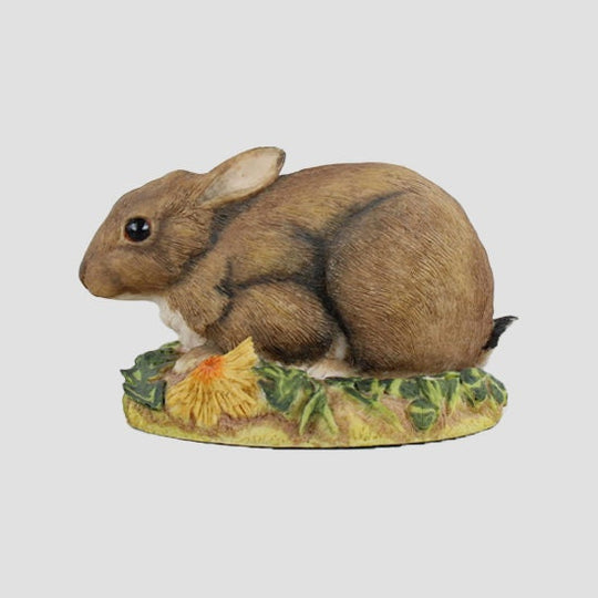 Rabbit Crouching Border Fine Arts Wildlife