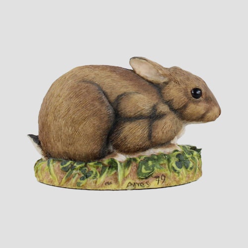 Rabbit Crouching Border Fine Arts Wildlife