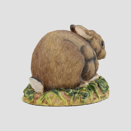 Rabbit Crouching Border Fine Arts Wildlife