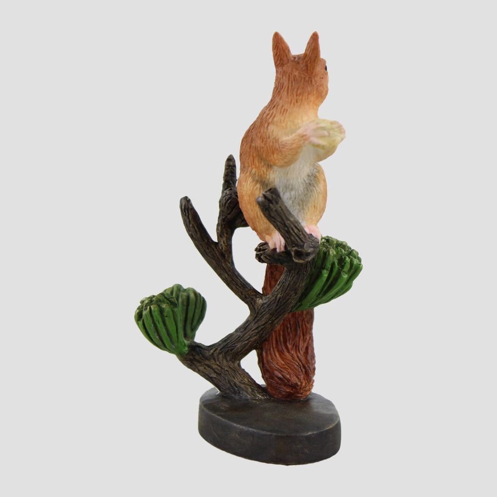 Red Squirrel With Acorn Border Fine Arts Wildlife