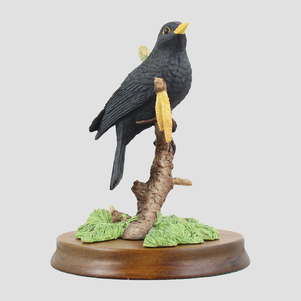 Blackbird By David Walton Border Fine Arts Birds