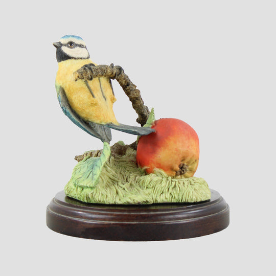 Blue Tit On Apple Border Fine Arts Birds