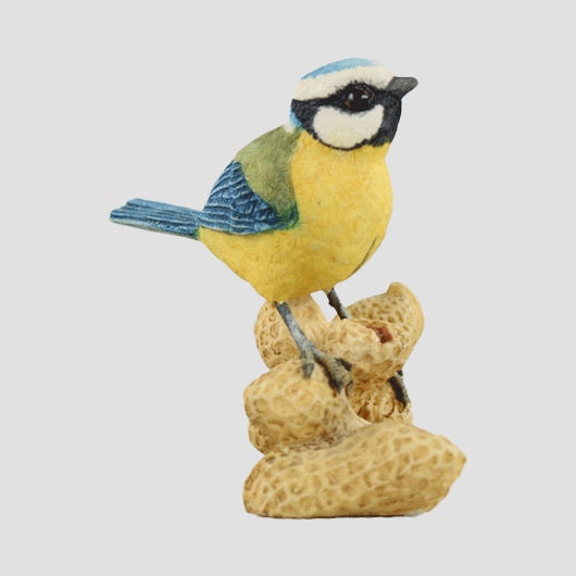 Blue Tit On Peanuts Border Fine Arts Birds