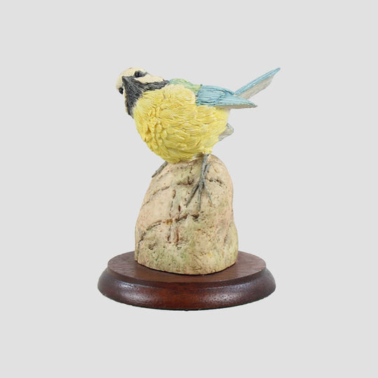 Blue Tit On Pebble Border Fine Arts Birds