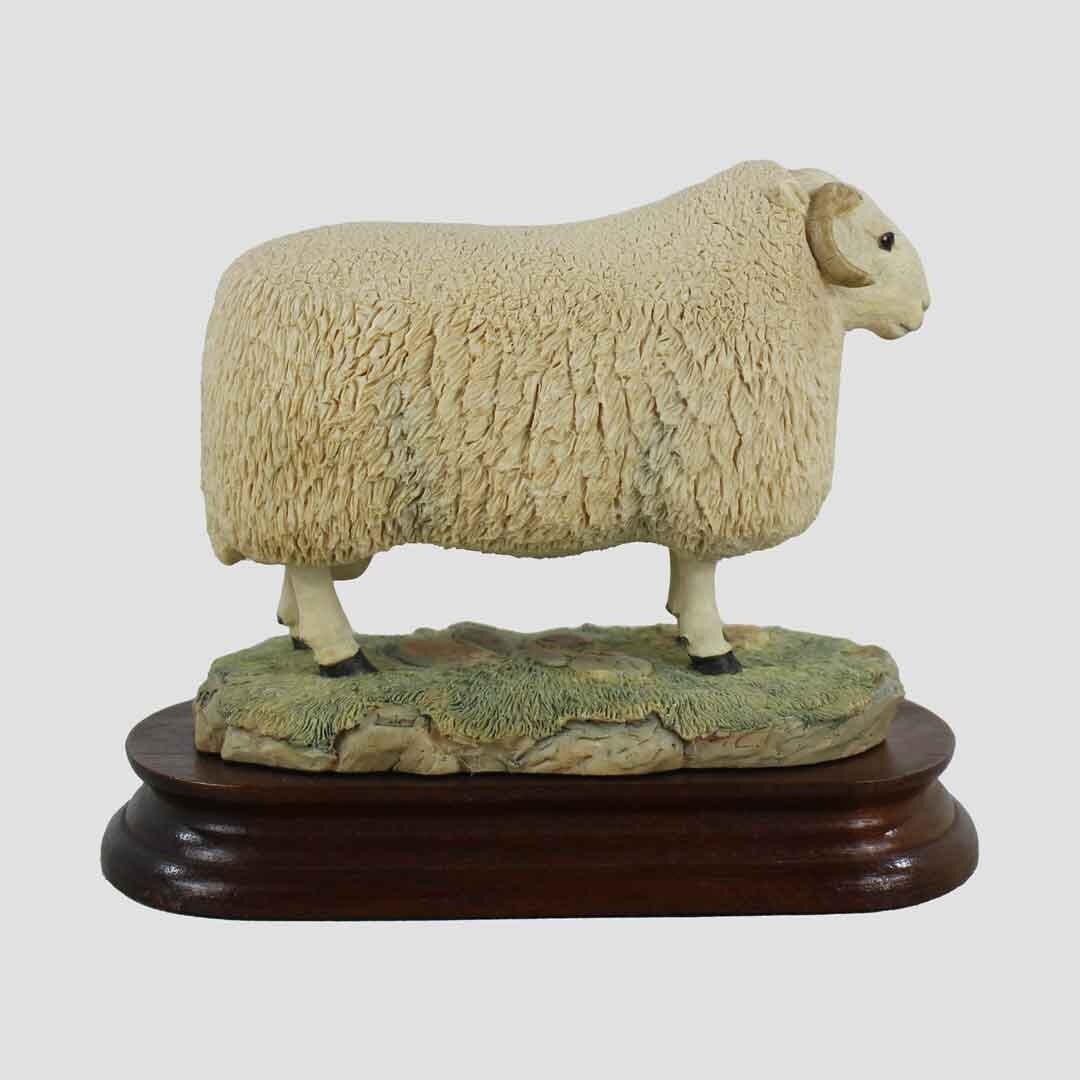 Cheviot Ram Border Fine Arts Sheep