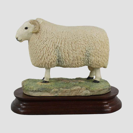 Cheviot Ram Border Fine Arts Sheep