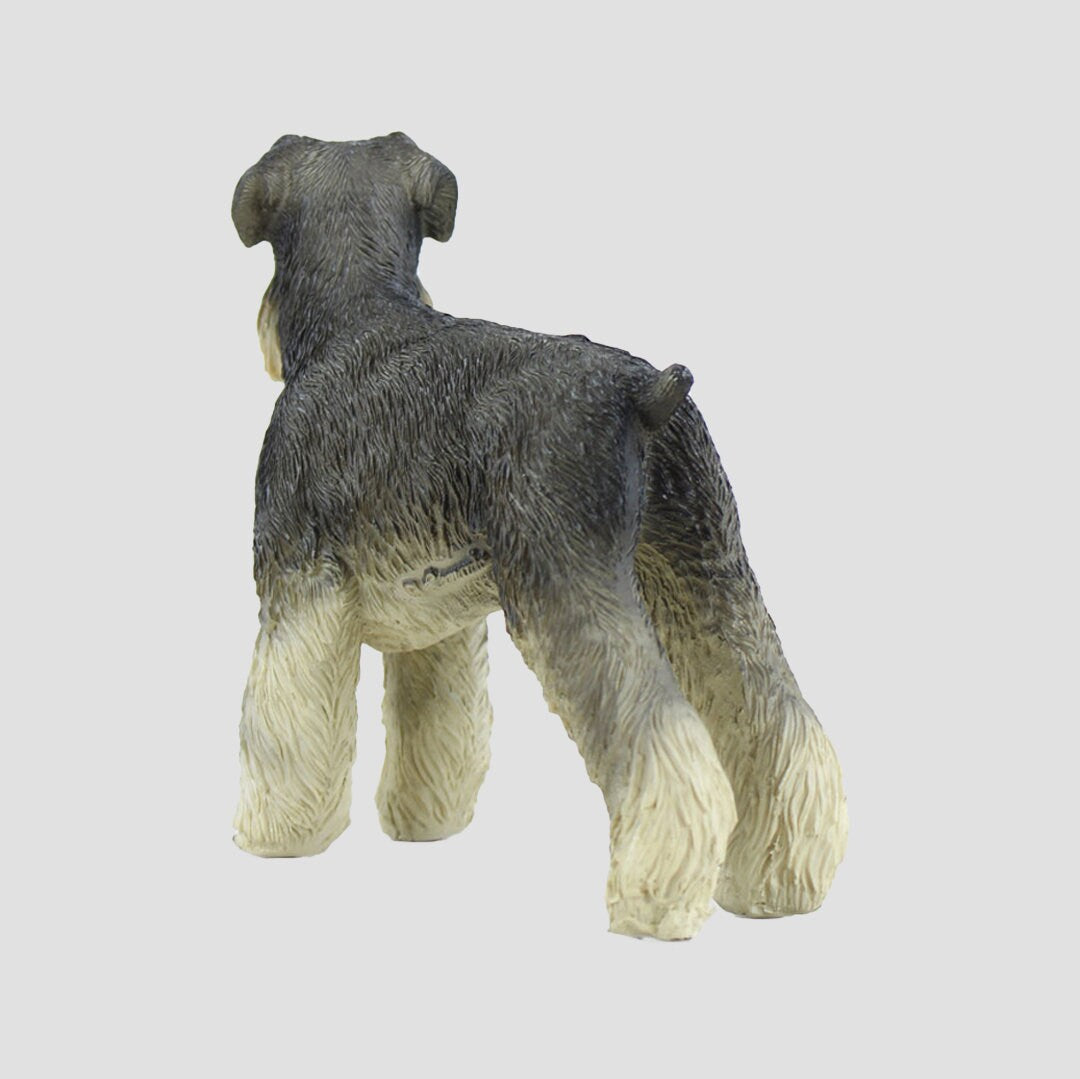 Schnauzer Dog Model Border Fine Arts Dogs