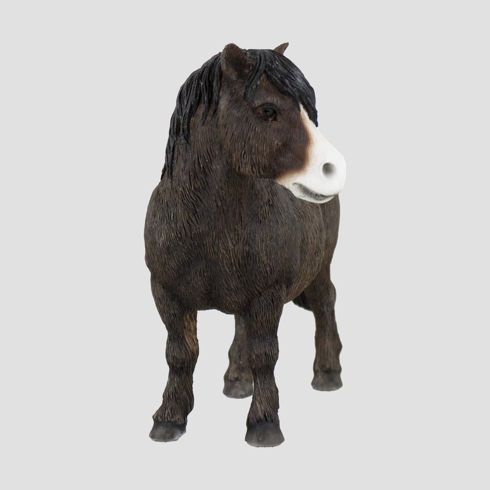 Shetland Pony Model By Leonardo Border Fine Arts Horses