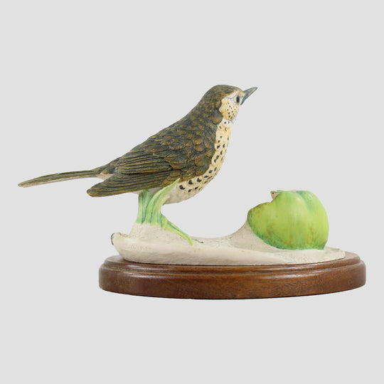 Song Thrush Border Fine Arts Birds